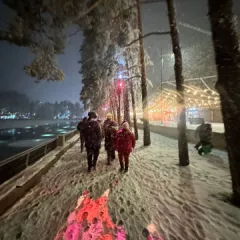 Čigotica januar 2026.