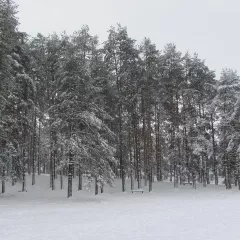 Zlatibor 14. decembar