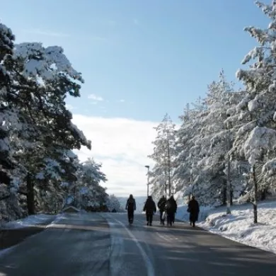 Winter walk