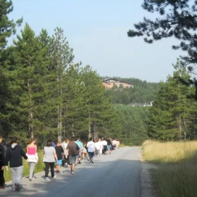 Walk, Avgust 2011.